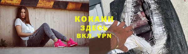 дмт Абаза
